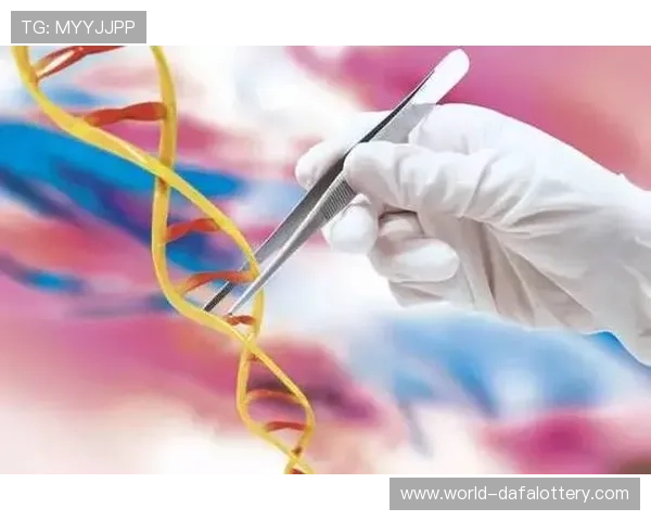 掌握快3精准计划与数据分析技巧轻松提升选号稳定性和实战效率